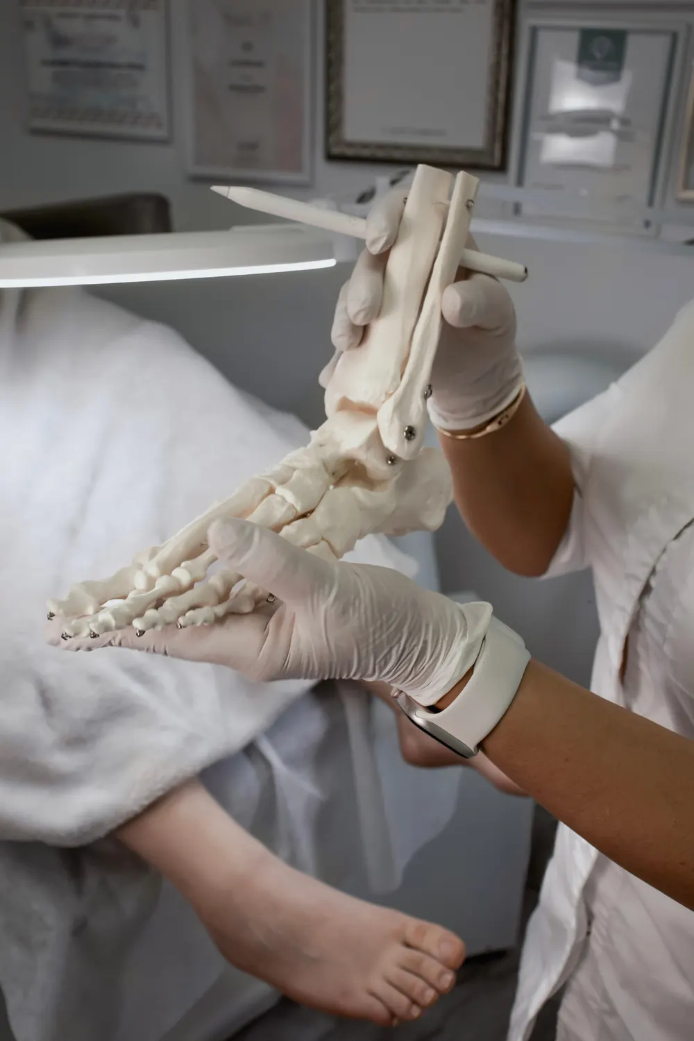 Foot anatomy demonstration